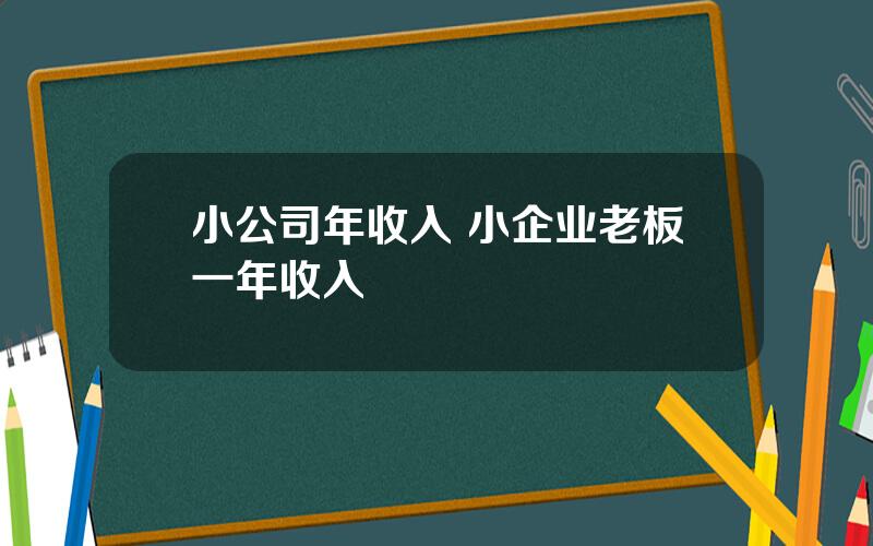 小公司年收入 小企业老板一年收入